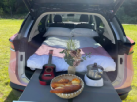 春日出游不錯過,“大舒”座駕信得過,新X7攪動了你的春游DNA沒?