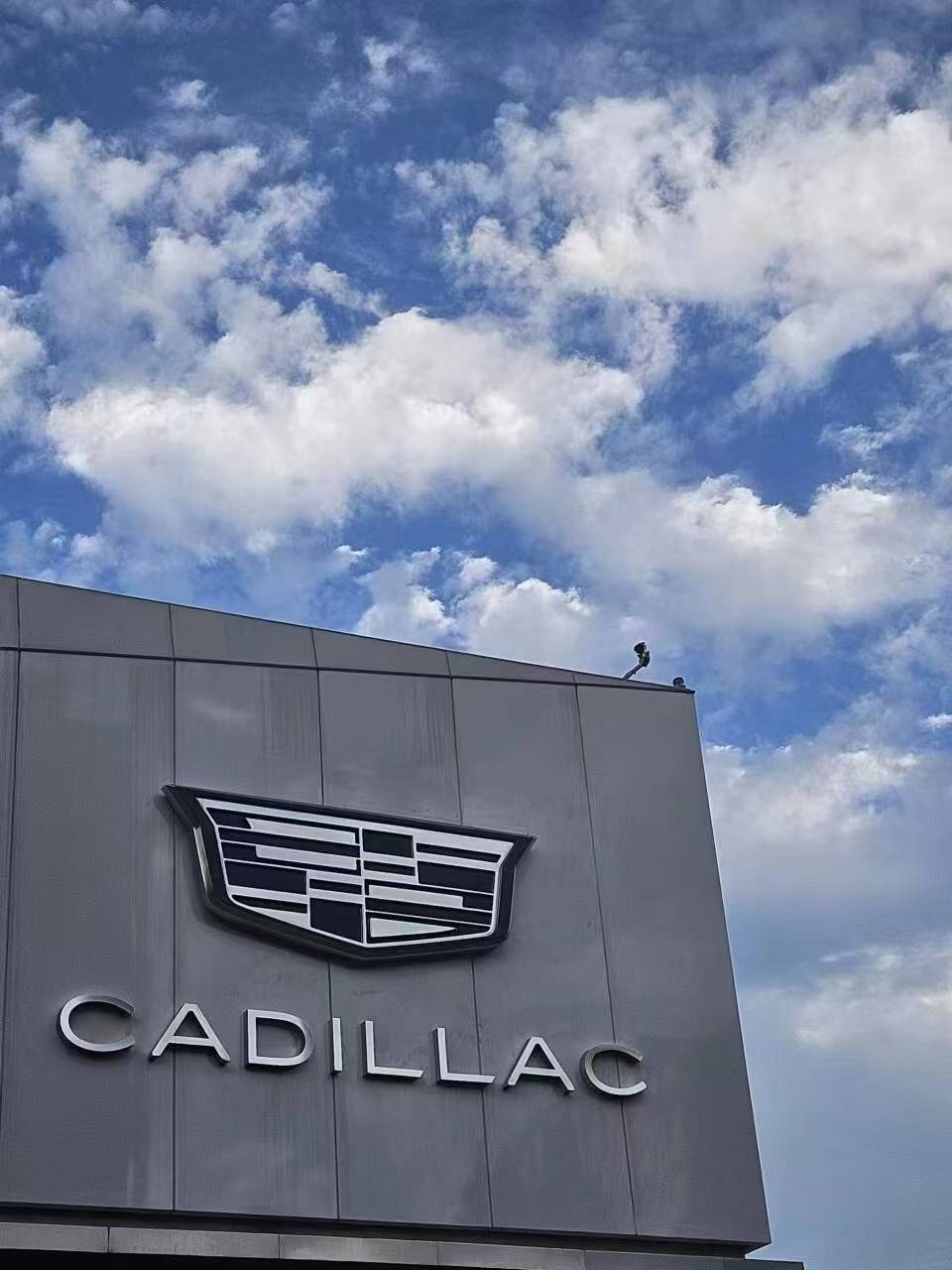 凱迪拉克“報(bào)喜不報(bào)憂”,全年銷量回到2016年水平