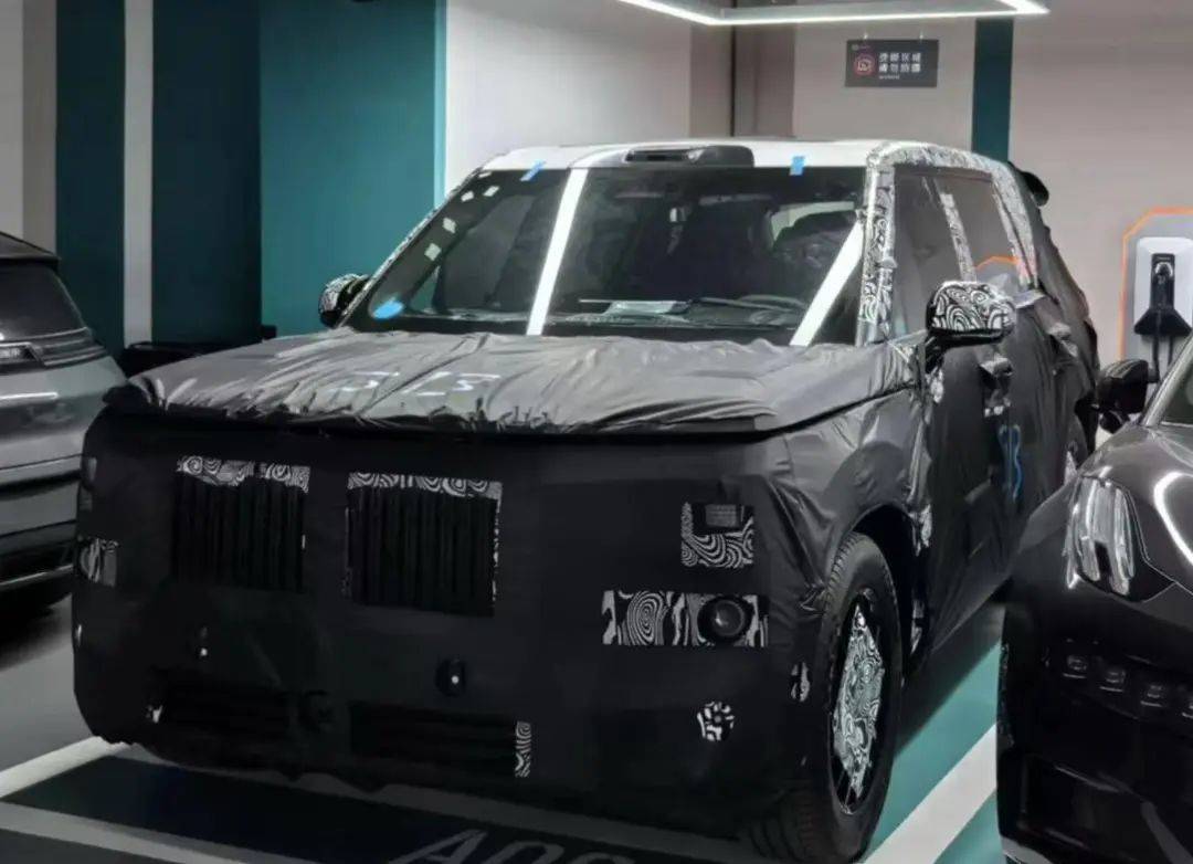 領克、極氪2025新車規劃,3款大型SUV,2款獵裝,極氪混動來了