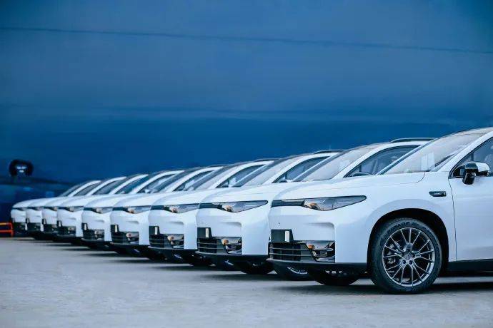 20250206_1738826281296592.jpeg 640-5.jpeg