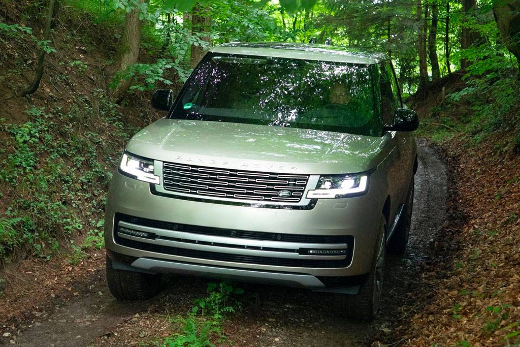 20250217_1739795186586857.jpg image017.jpg