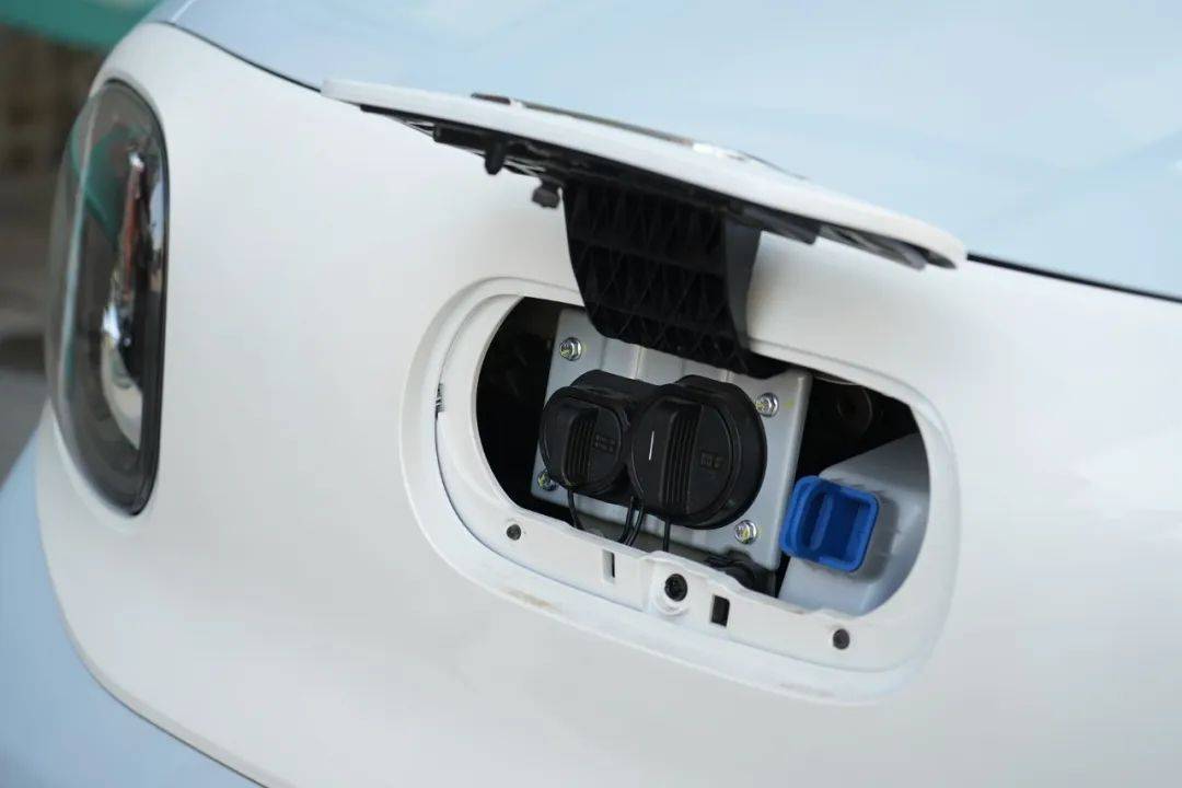 奔騰小馬冰椰藍,夏日一抹清涼