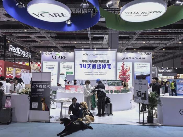 從吃飽到吃好,給貓咪“美毛”的VCare,兩年擠進天貓品類top前5