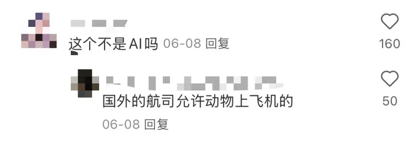 DeepSeek等大模型集體“打標”,從此告別AI造假?