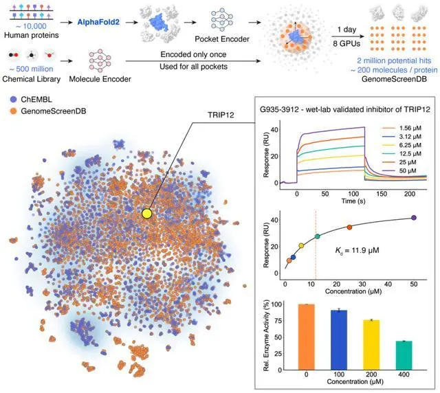 清華2026年首篇Science論文:AI幫助藥物虛擬篩選提速百萬倍